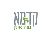 קדמא נהו אילן